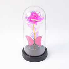 Blush Lite Rose & Wings Display